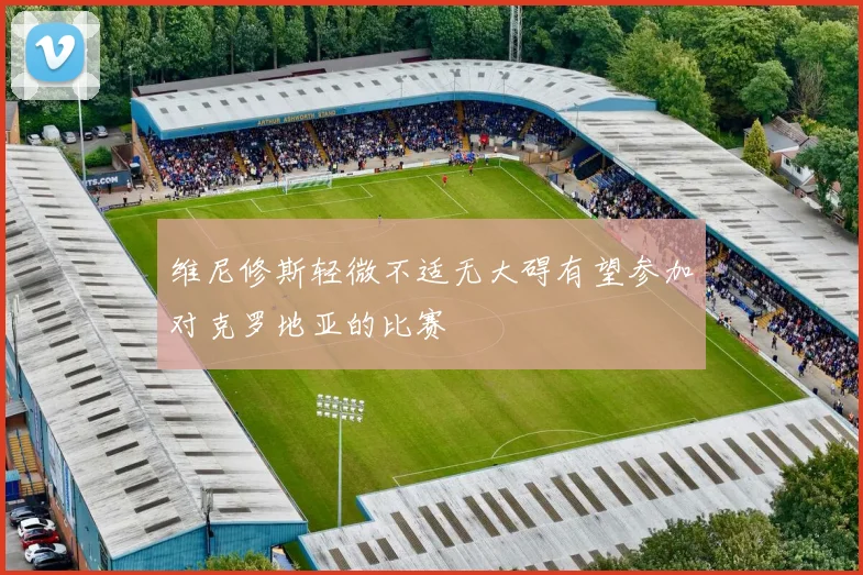 维尼修斯轻微不适无大碍有望参加对克罗地亚的比赛